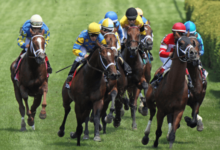 How do you evaluate a horse's performance after a race?