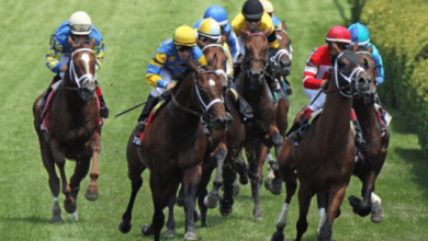 How do you evaluate a horse's performance after a race?