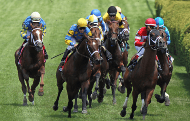 How do you evaluate a horse's performance after a race?