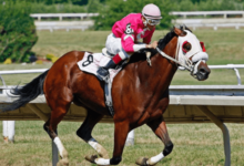 What specific training routines do you follow to prepare a horse for a race?