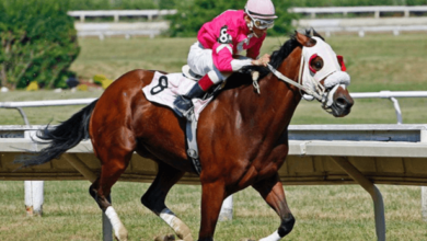 What specific training routines do you follow to prepare a horse for a race?