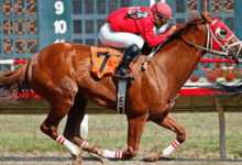 How do you ensure the health and fitness of your horse during the racing season?