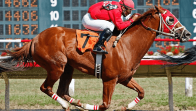 How do you ensure the health and fitness of your horse during the racing season?