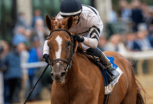 What are the key factors you consider when selecting a horse for racing?