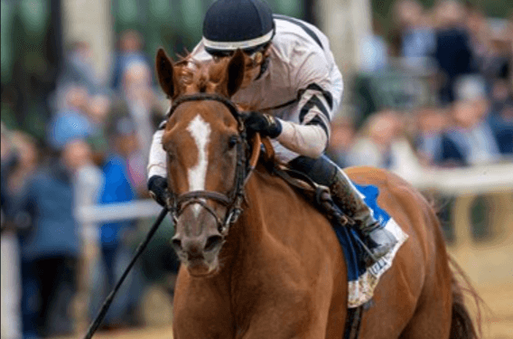 What are the key factors you consider when selecting a horse for racing?