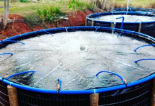 Burtons Aquatics Combi Drum Filter The Trusted Choice for Advanced Pond Filtration