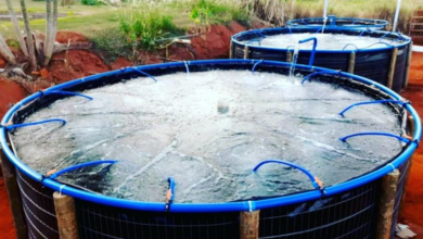 Burtons Aquatics Combi Drum Filter The Trusted Choice for Advanced Pond Filtration