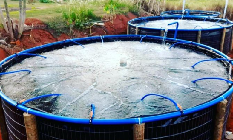 Burtons Aquatics Combi Drum Filter The Trusted Choice for Advanced Pond Filtration
