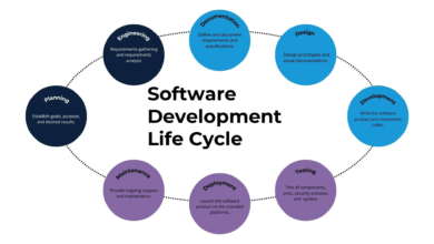 Software Lifecycle Efficiently