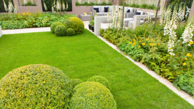 Boosting Property Value: The Role of Landscaping in Competitive Markets