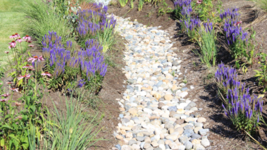 Benefits of Professional Yard Drainage Solutions for Homeowners