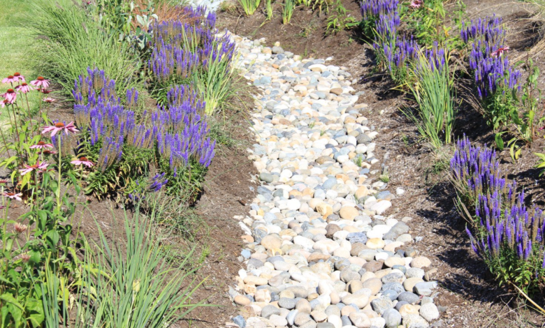 Benefits of Professional Yard Drainage Solutions for Homeowners