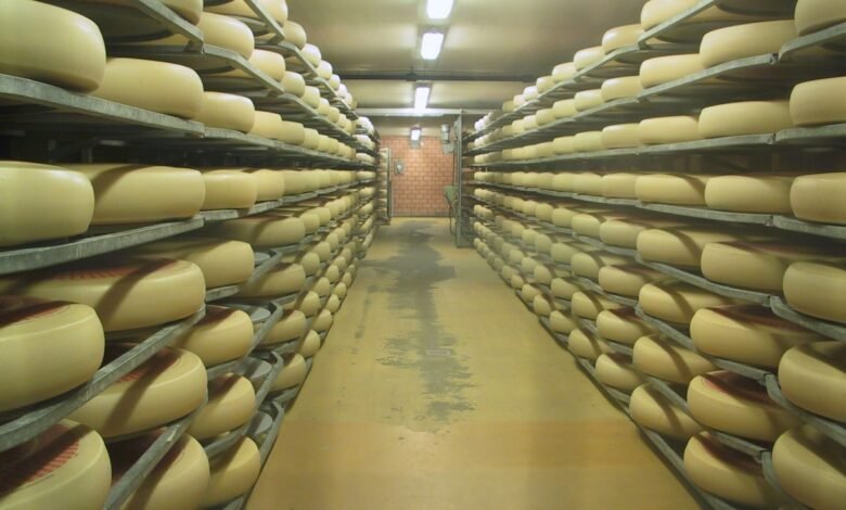 What to Look for in Blast Freezers for Food Processing