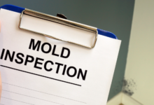 How Commercial Mold Inspections Can Prevent Long-Term Property Damage