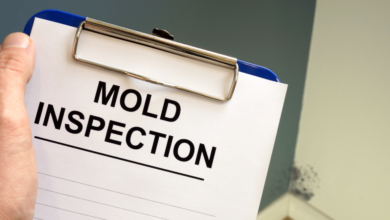 How Commercial Mold Inspections Can Prevent Long-Term Property Damage
