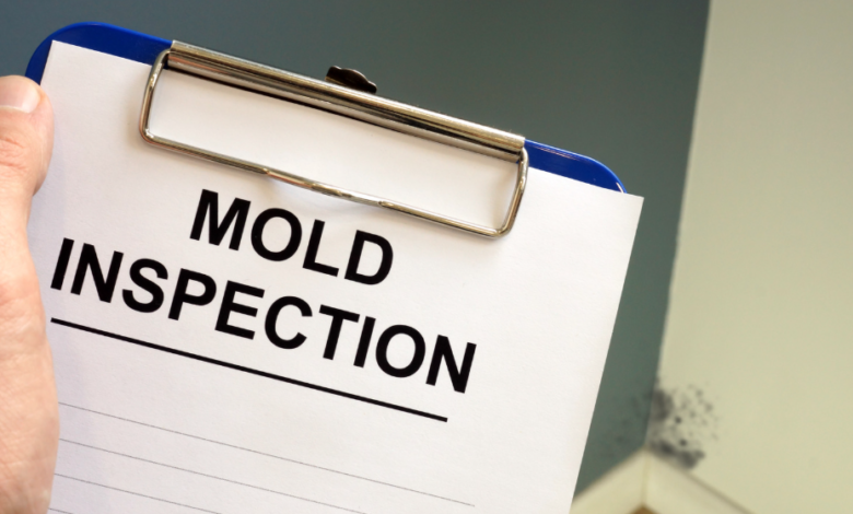 How Commercial Mold Inspections Can Prevent Long-Term Property Damage