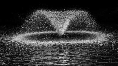Seasonal Care Tips for Maintaining Scott Pond Fountains