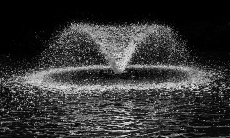 Seasonal Care Tips for Maintaining Scott Pond Fountains