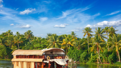 Kerala Backwater Tours: A Journey Through Nature’s Paradise