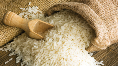 Fueling Kitchens Worldwide: The Unsung Role of Rice Wholesalers