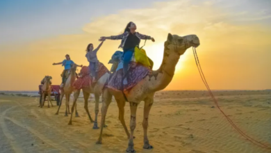 Three Jewels of Rajasthan: Your Perfect Jaipur Jodhpur Jaisalmer Package