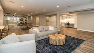Basement Renovations Essential Guide for Maximum Space and Value