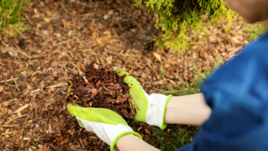 Why Choosing High-Quality Mulch Matters for Your Landscape
