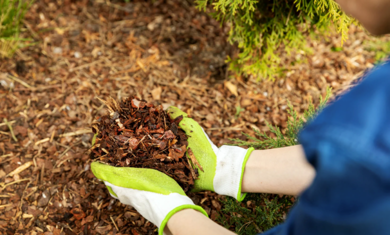 Why Choosing High-Quality Mulch Matters for Your Landscape