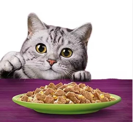 Bulk Canned Cat Food