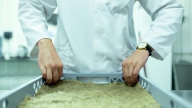 future innovation development focus