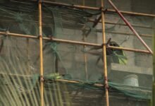 next level tools frameworks