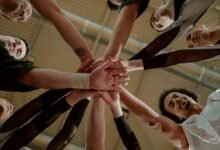 nova arc synergy 662513063