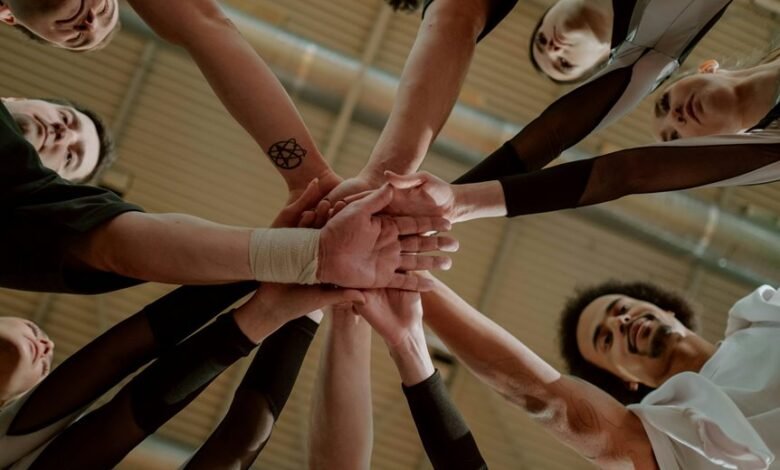 nova arc synergy 662513063