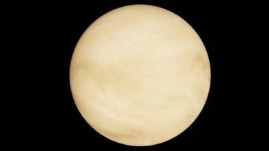 stellar profit orbit 911087241