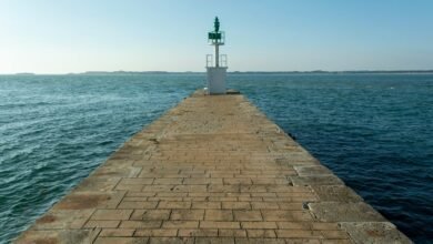 elevate market beacon horizon 6192102027