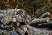 digital log analysis usernames list