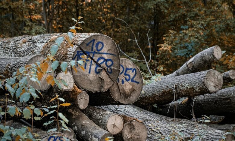 digital log analysis usernames list