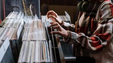 record consistency check model ids and versions