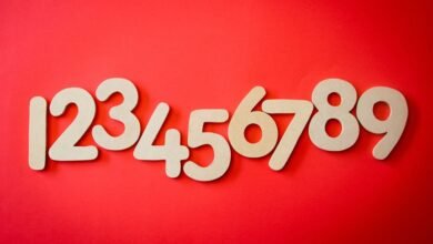 list of various phone numbers provided