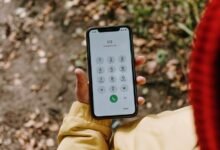 phone identity records list numbers