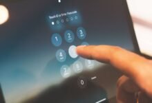 phone numbers discovery report