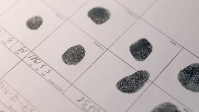 public registry results identifiers listed