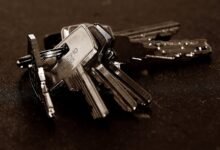 registry entries for four numbers analyzed