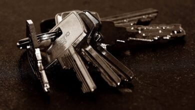 registry entries for four numbers analyzed
