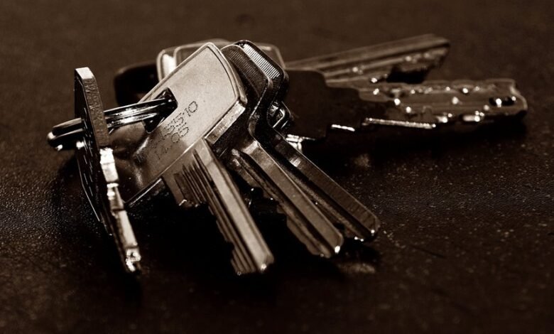 registry entries for four numbers analyzed