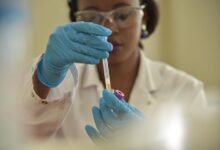 registry investigation results for specific ids
