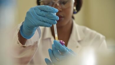 registry investigation results for specific ids