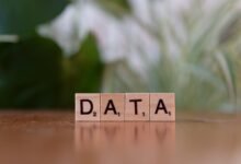 registry numbers search request performed