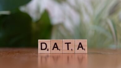 registry numbers search request performed