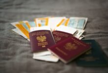 registry verification ids analyzed